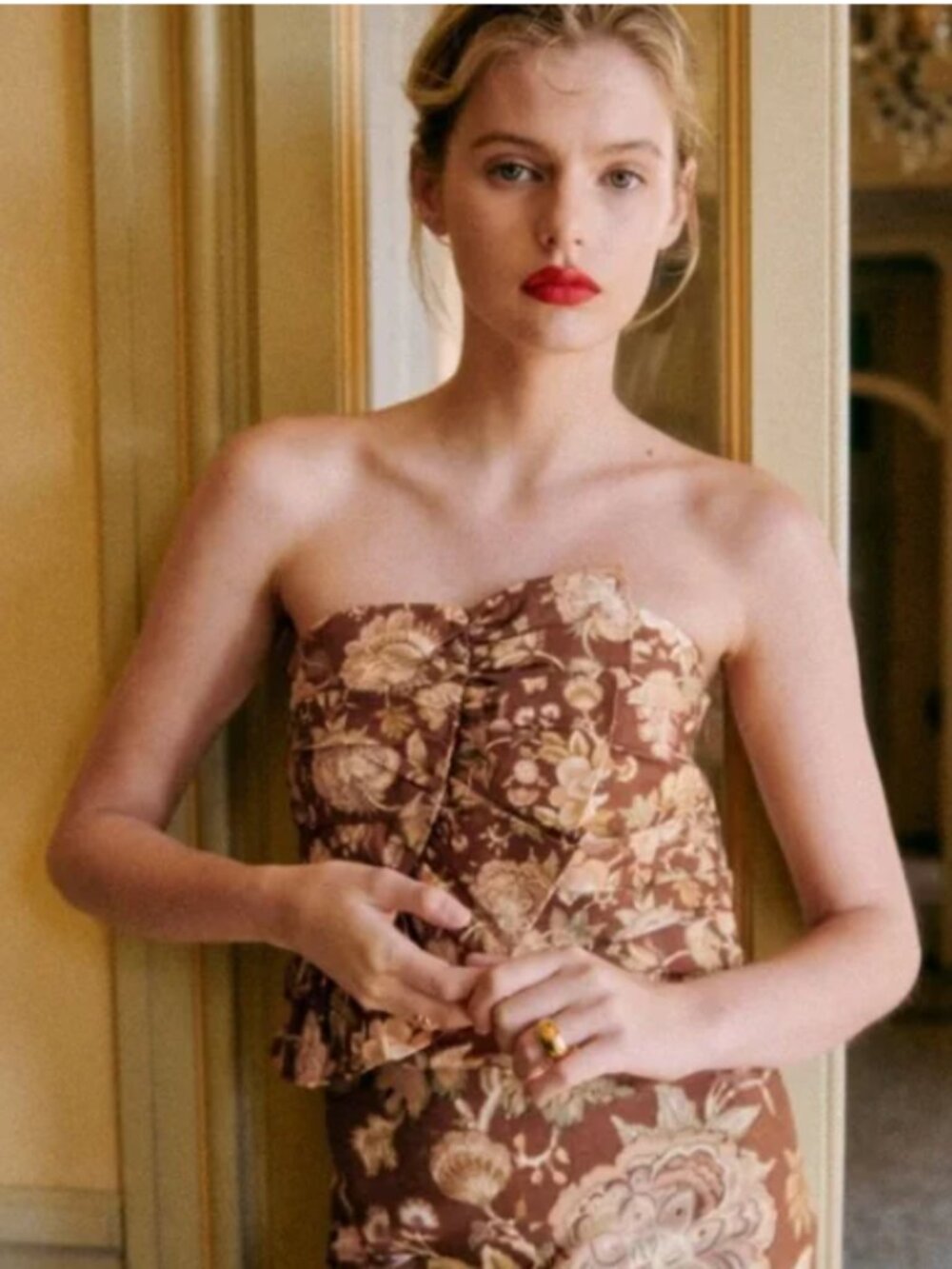 Sézane Floral Bustier Top Corset Style Brown Print Size 36